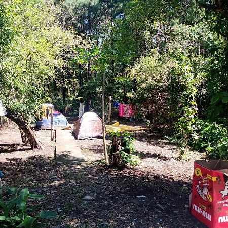Camping Novas Palmeiras Florianópolis Eksteriør billede