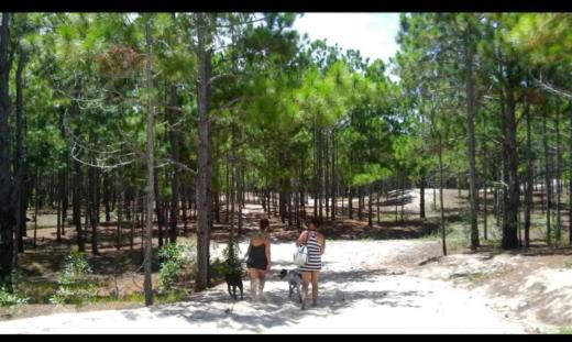 Camping Novas Palmeiras Florianópolis Eksteriør billede